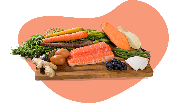 Salmon dog food toppers